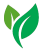 ikona